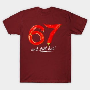 67th Birthday Gifts - 67 Years and still Hot T-Shirt